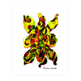 Pop Abstract 2023 92 Copia (Print Only) thumbnail