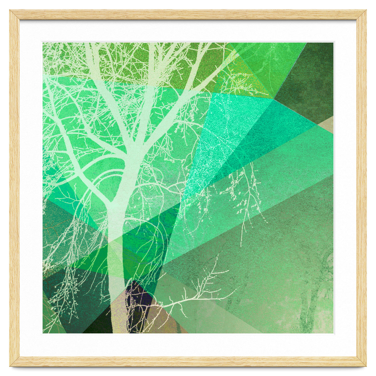 P22-B3 Trees And Triangles