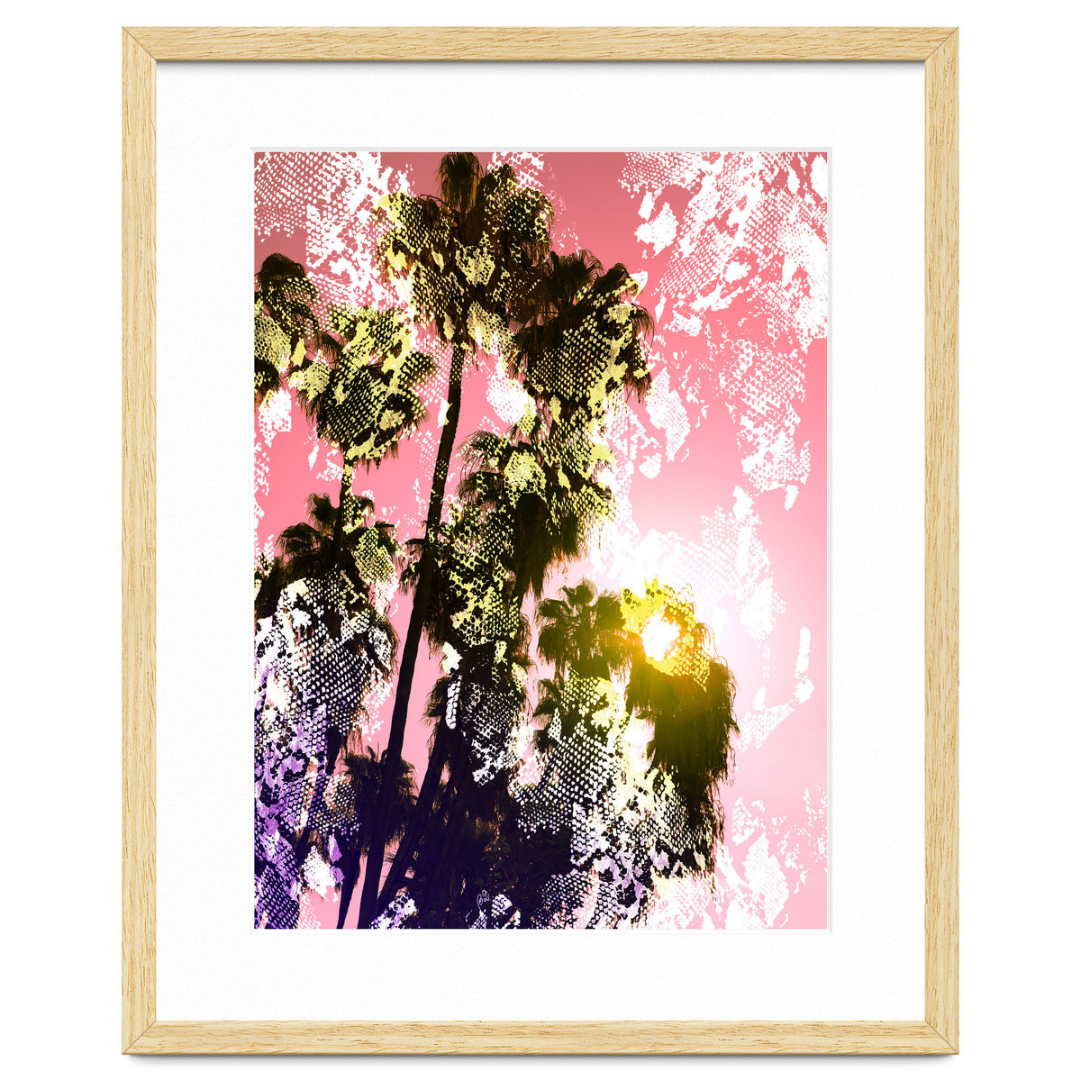 Snake sunset in paradise