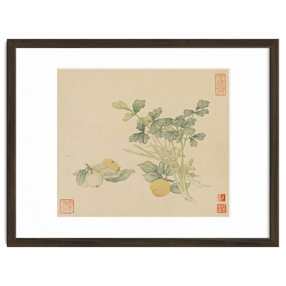 Wang Chengyu~flowers And Vegetables, Vegetables, Fruits, Plums, Apricots, Celery