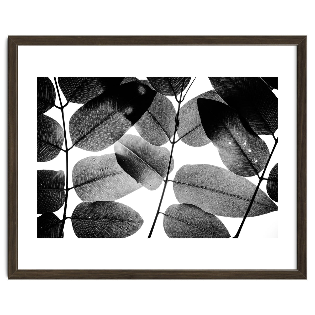 Experiments with Leaves II