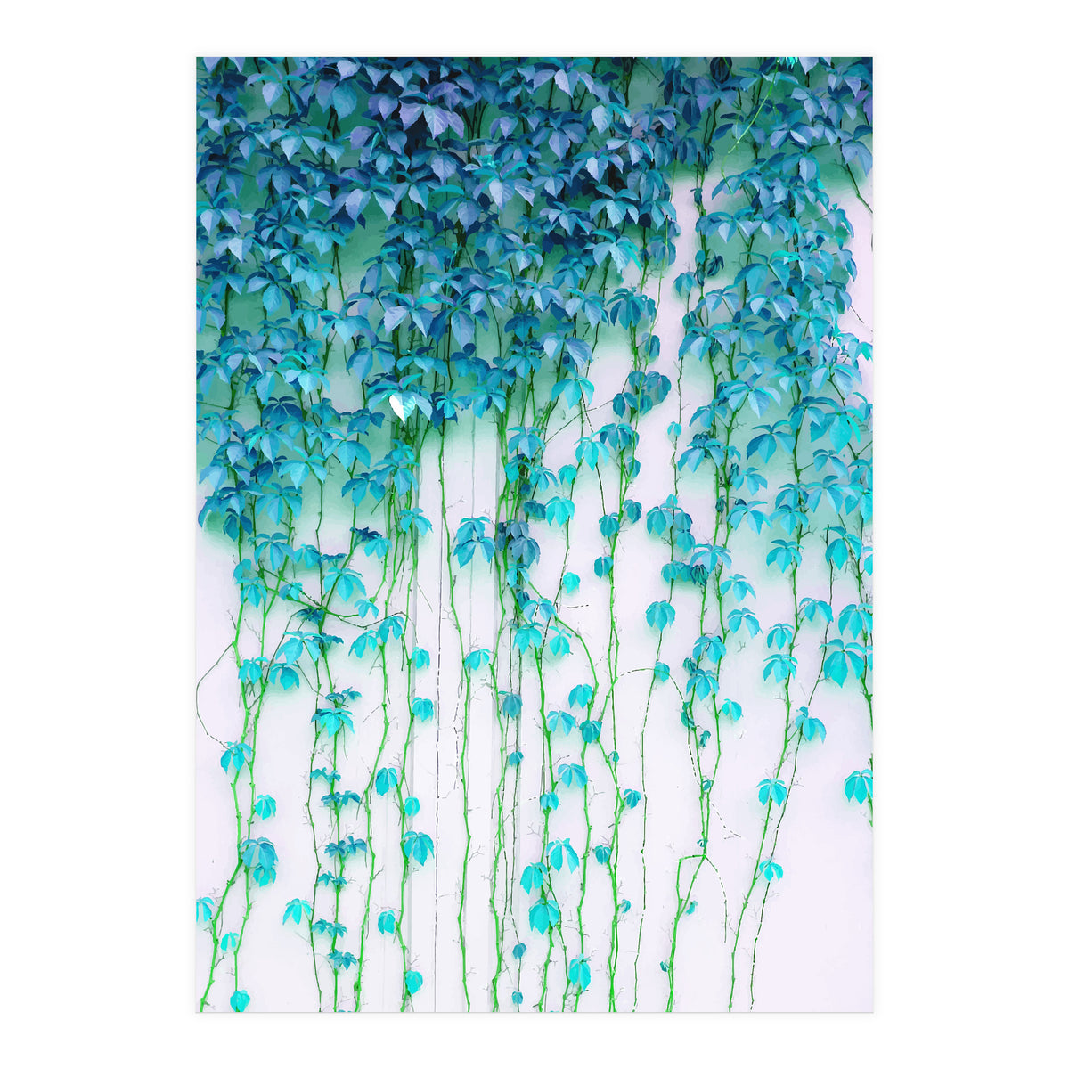 Average Absence, Botanical Minimal Nature Creepers Plants, Tropical Watercolor Bohemian Painting (Print Only)