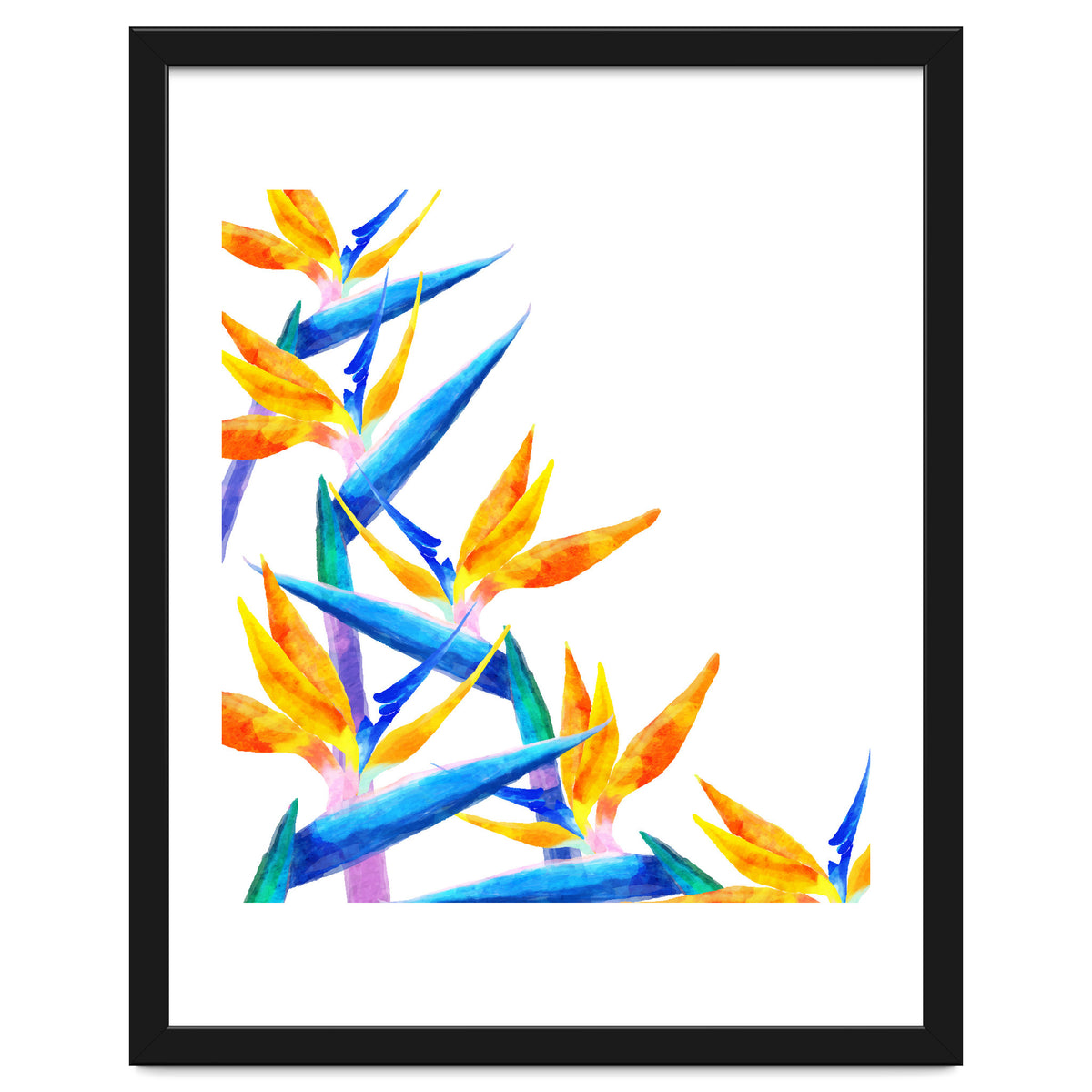 Bird Of Paradise Watercolor