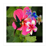 Hummingbird (Print Only) thumbnail