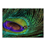 Peacock feather (Print Only) thumbnail
