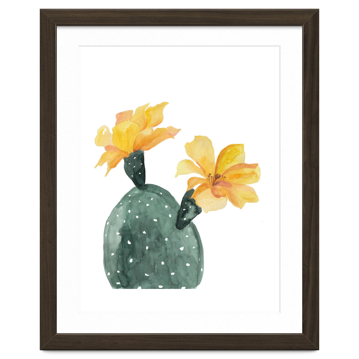 Botanical Illustration Yellow Cactus Flowers