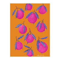 Pink Citrus (Print Only)