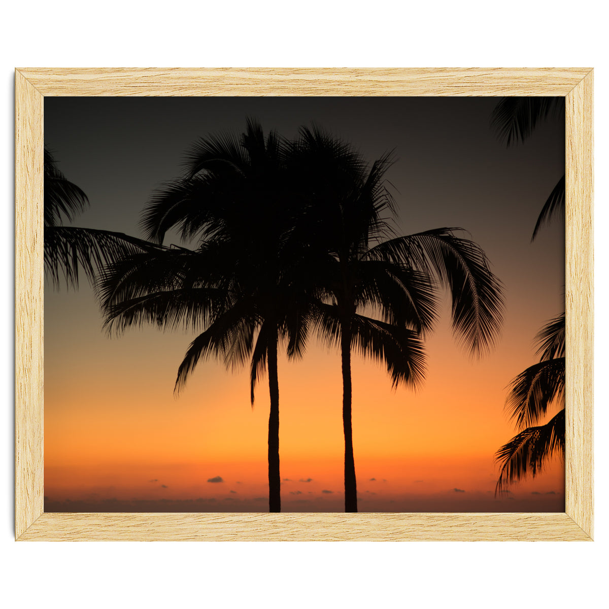 Mexico, November nights