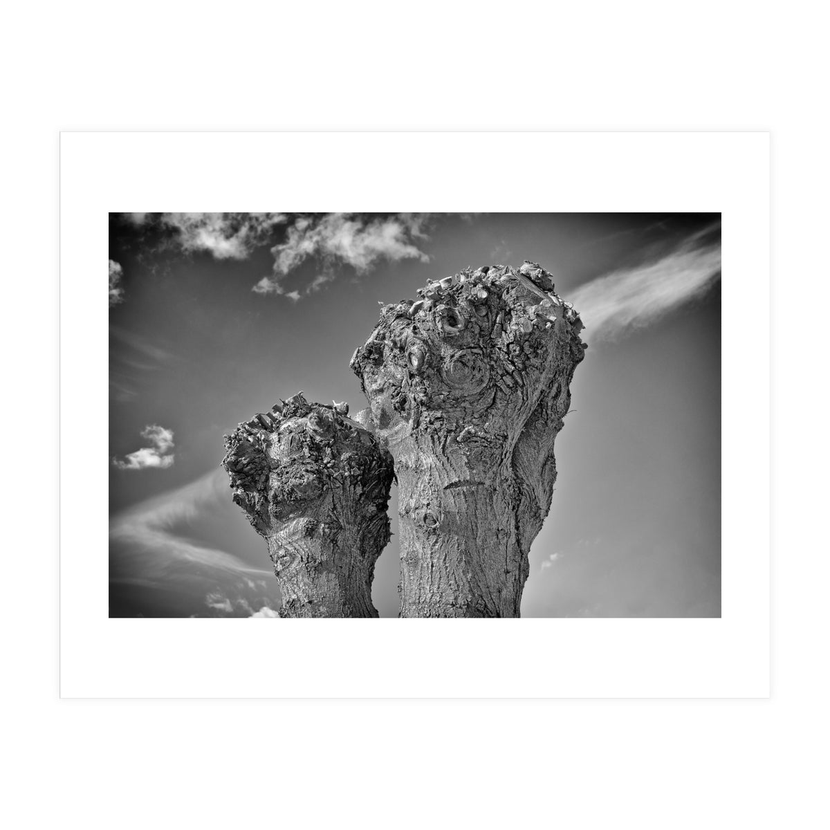 Cut down 2 (Print Only)