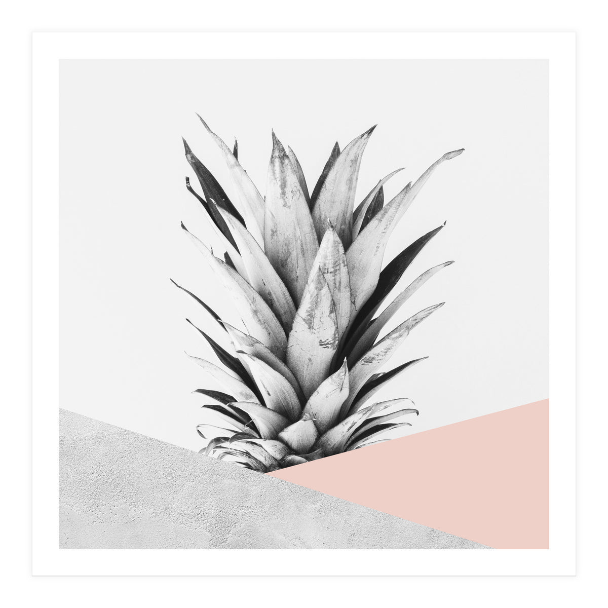 Scandinavian pineapple II (Print Only)