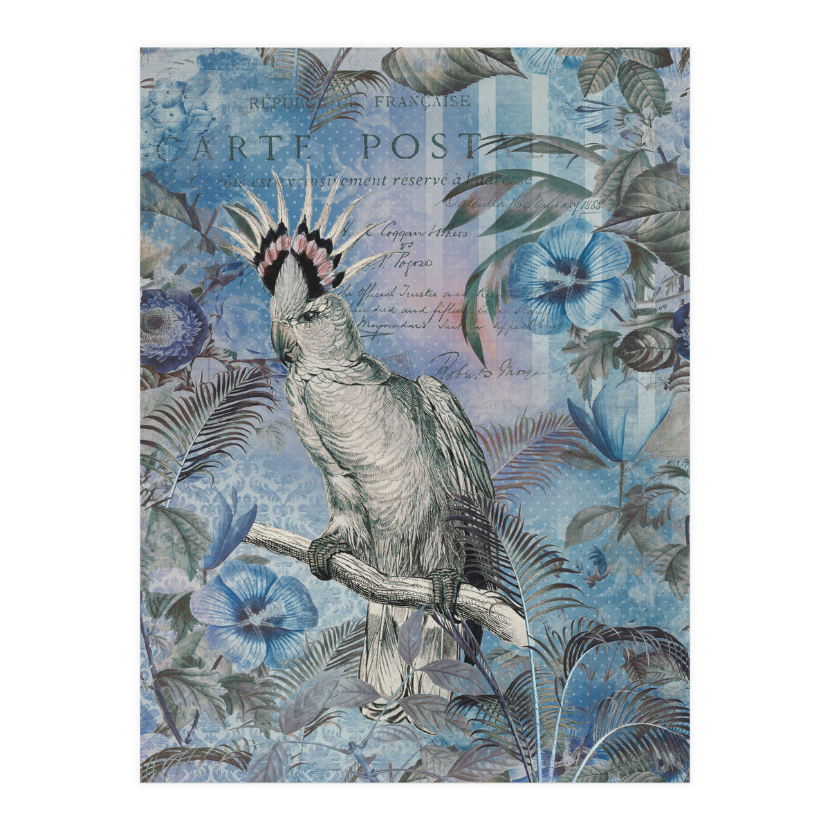 Jungle Cockatoo Blue (Print Only)