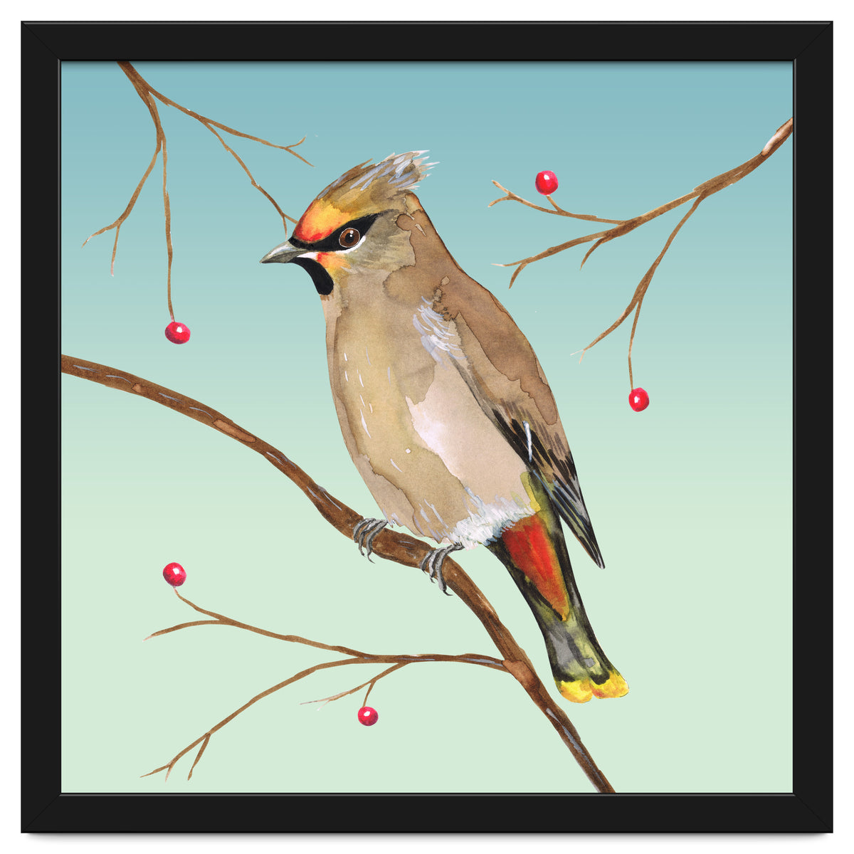 Bohemian waxwing