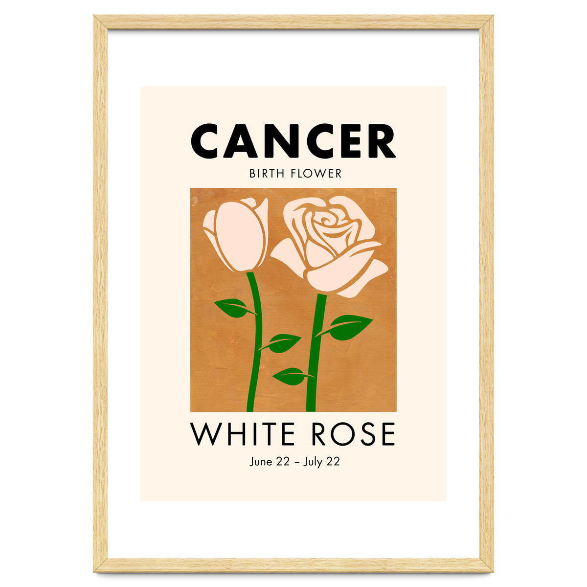 Cancer Birth Flower White Rose