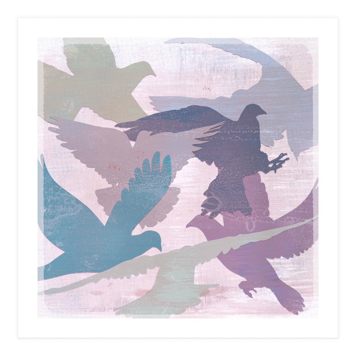 A bevy of doves (Print Only)