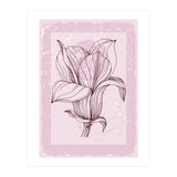 Magnolia - Minimal Contemporary Botanical Floral (Print Only) thumbnail