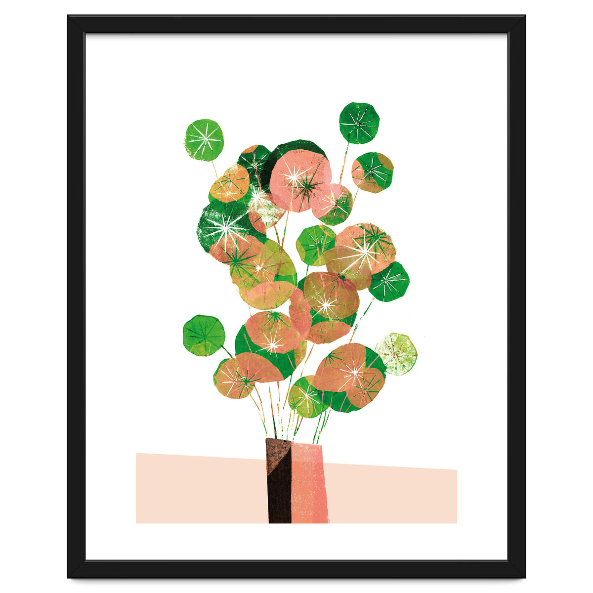 Pilea In Green And Coral
