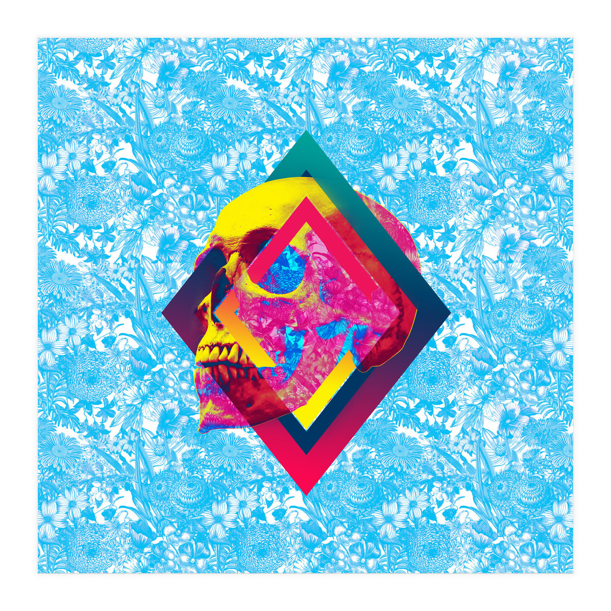 Lifeful Skull  (Print Only)