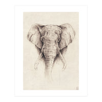 Elephant (Print Only)