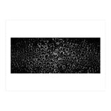 Bubbles (Print Only) thumbnail