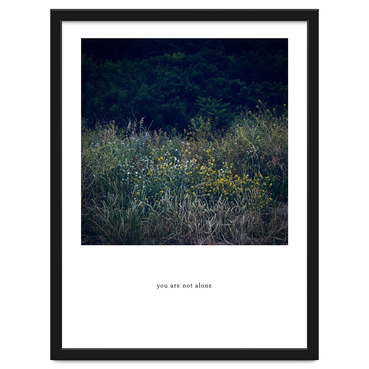 you are not alone - Nature Photography