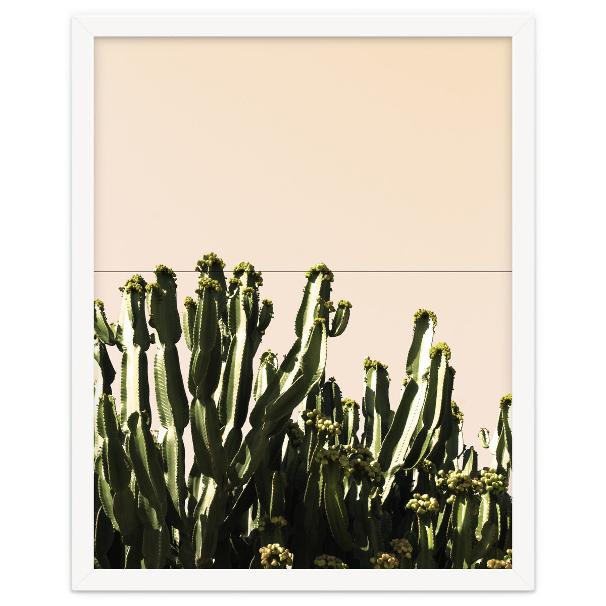 Cactus Vertical Color
