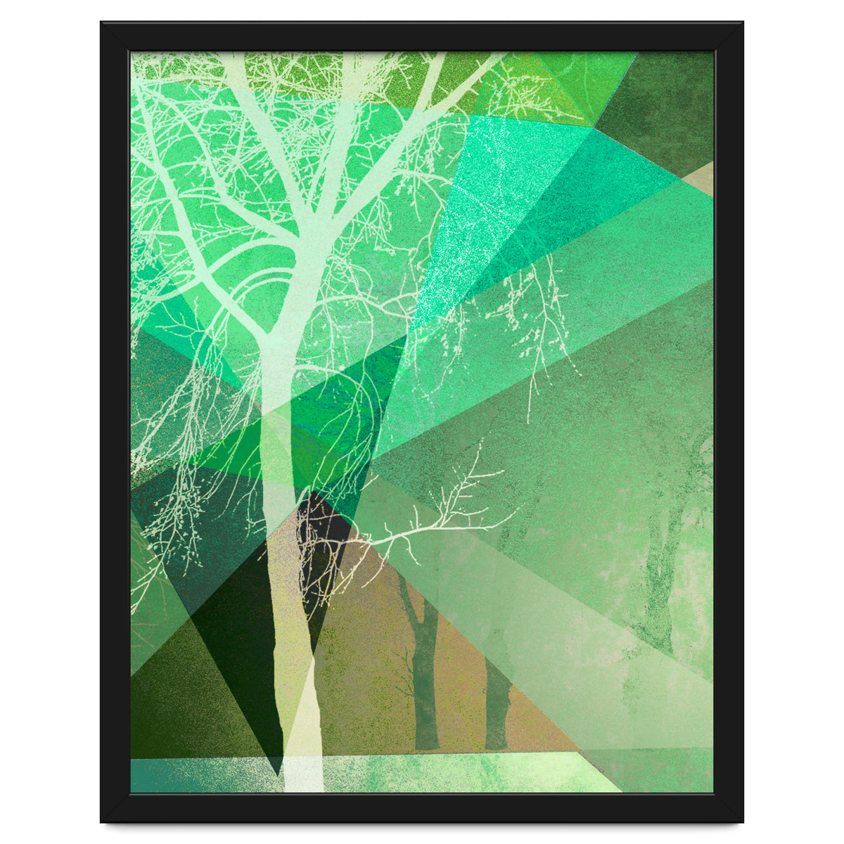 P22 B Trees And Triangles