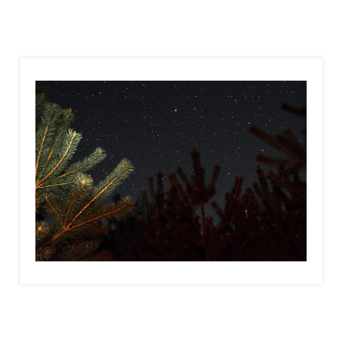 Sputnik Turntables (Print Only)