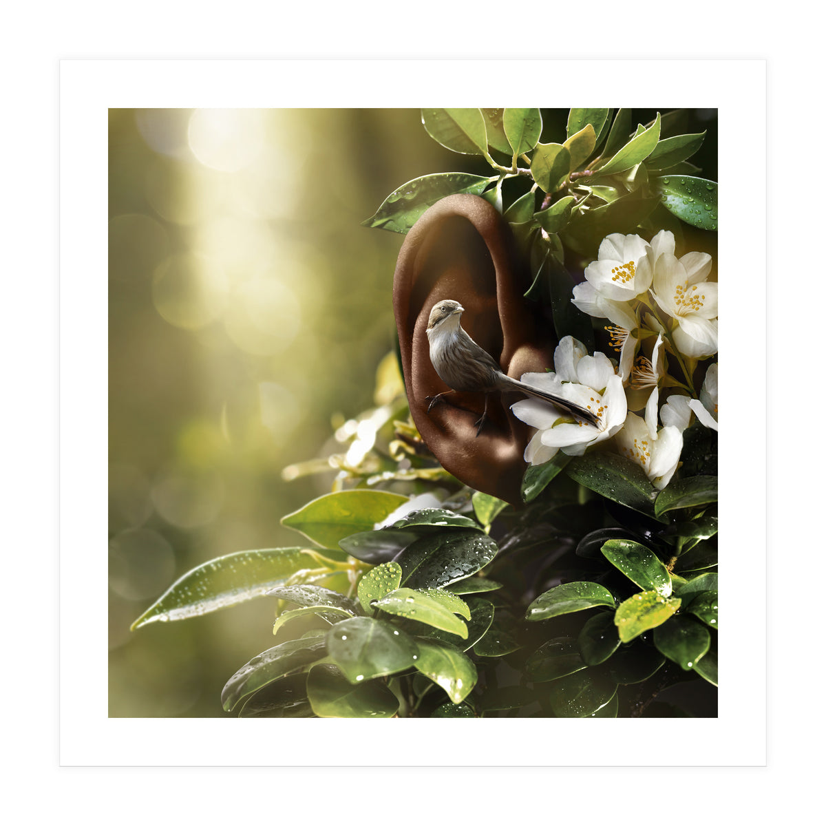 Sound Of Nature (Print Only)