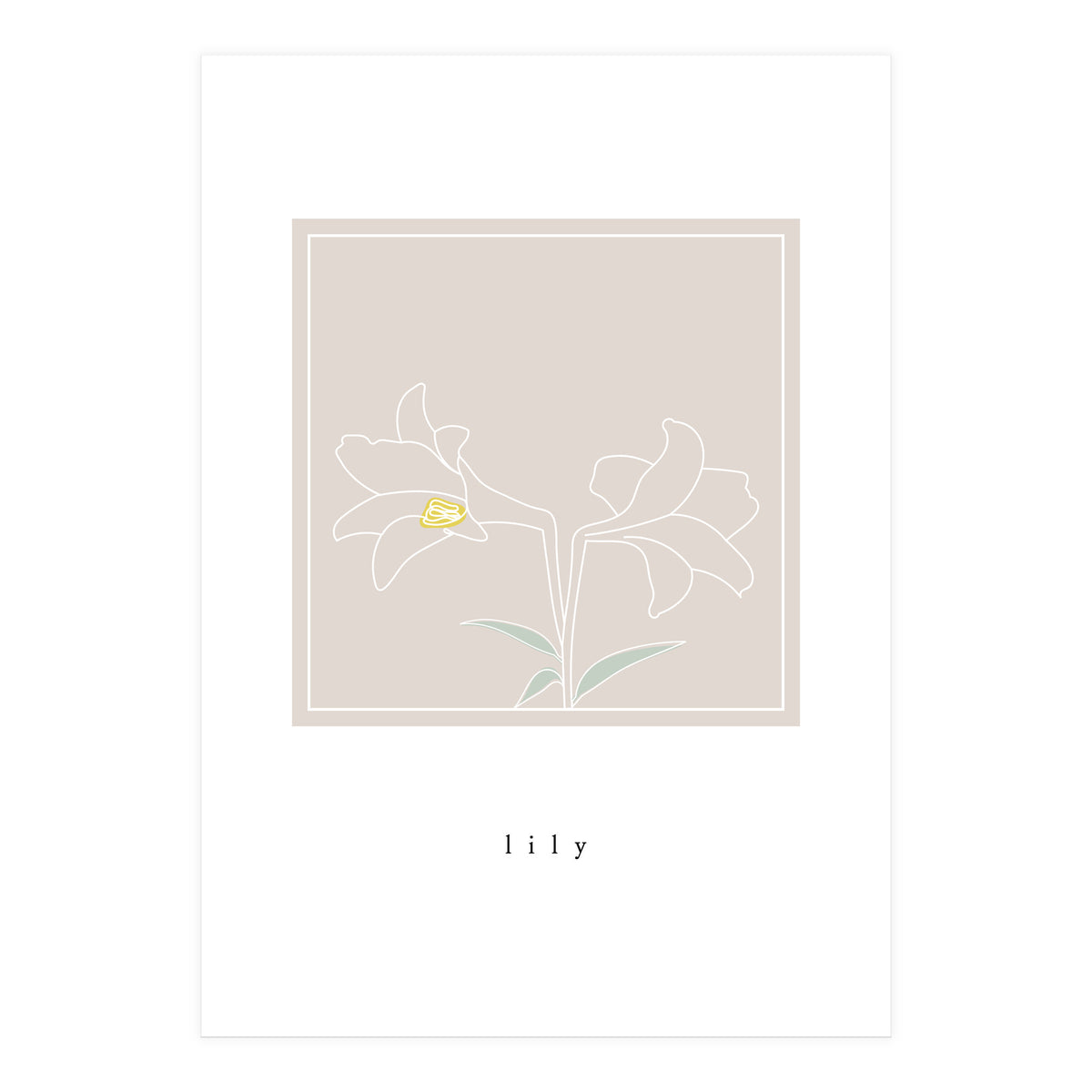lily flower (Print Only)