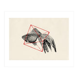 Fish In Geometrics III (Print Only) thumbnail