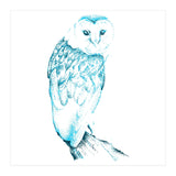Barn Owl in Teal (Print Only) thumbnail