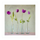 Tulips (Print Only) thumbnail
