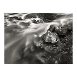 The Stream (Print Only) thumbnail