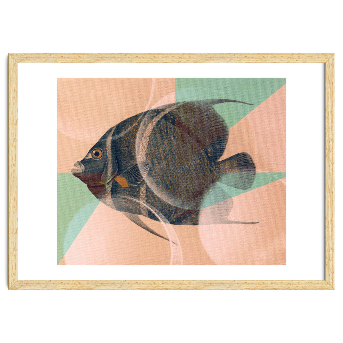 Fish Between Circles 2