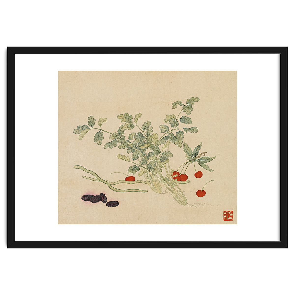 Wang Chengyu~flowers And Vegetables, Vegetables, Fruits, Beans, Red Beans, Cherries, Celery