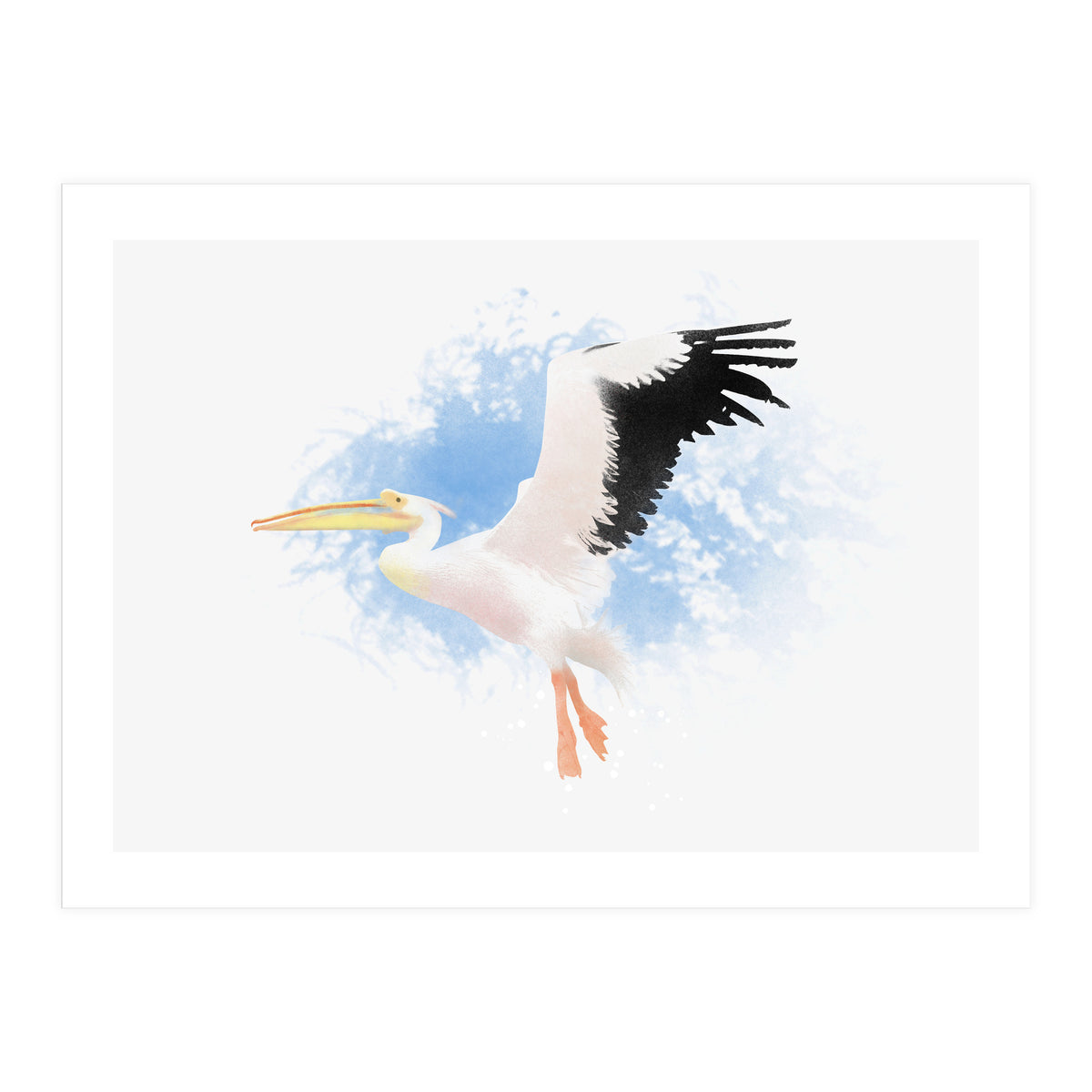 Pelican (Print Only)