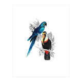The Toucan and the Parrot (Print Only) thumbnail