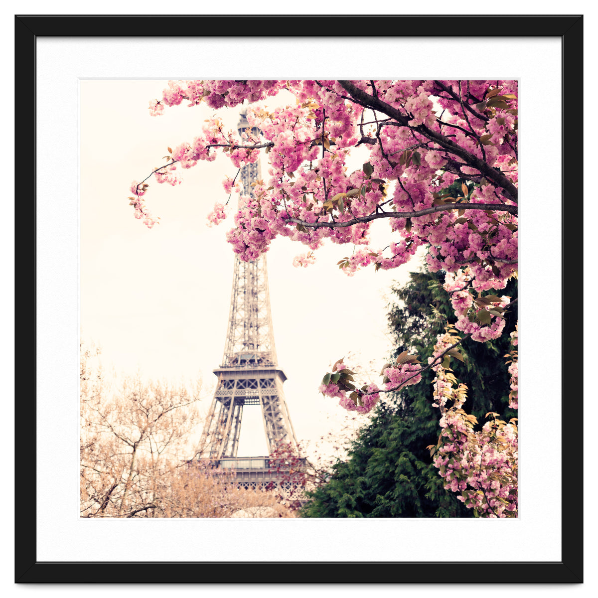 Paris in the Spring