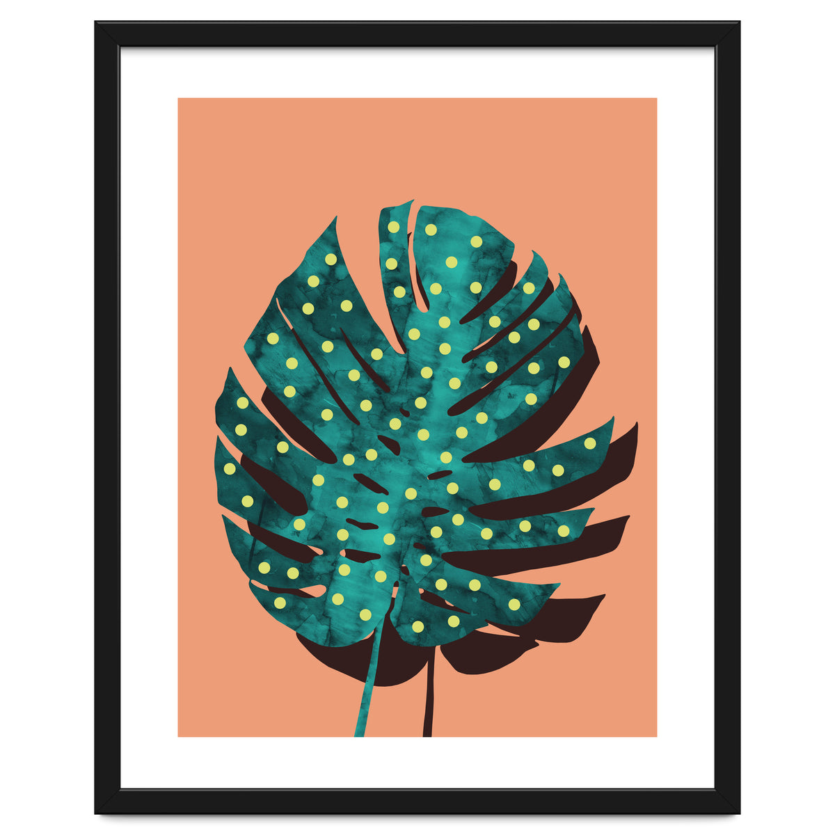 Monstera Deliciosa IV