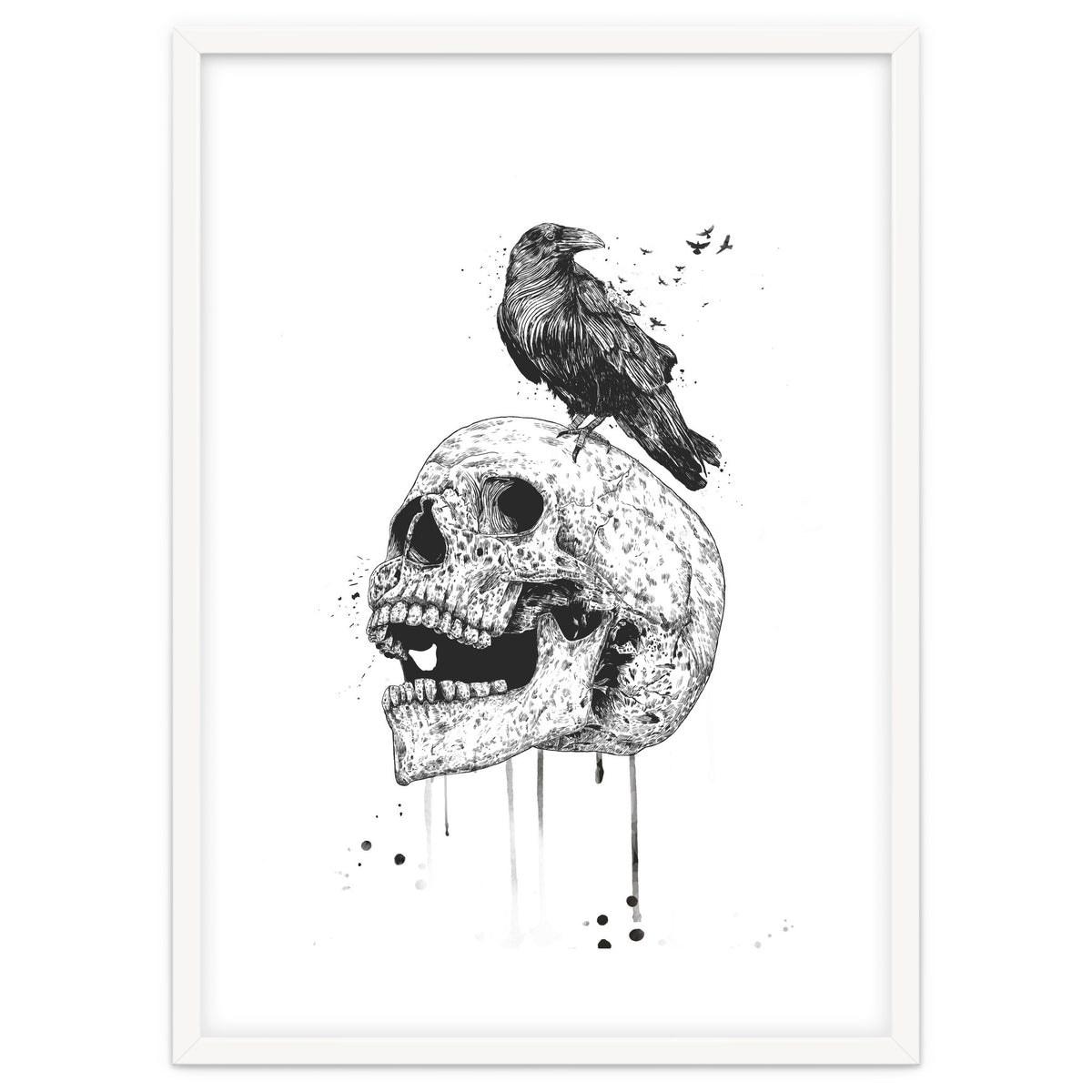 New Skull (bw)