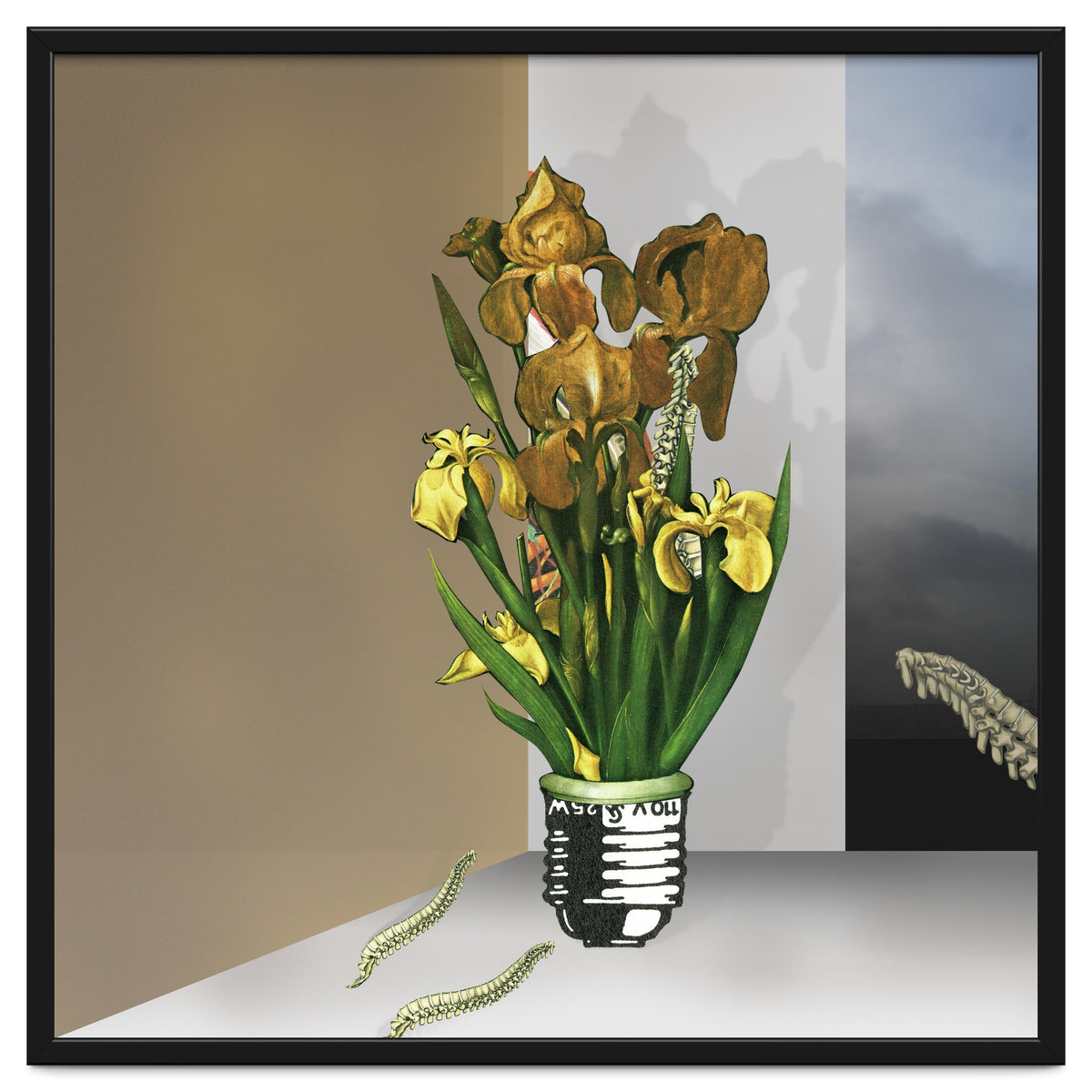 Das Licht Der Pflanze