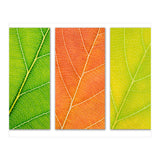 Autumn Leaves (Print Only) thumbnail