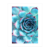 68a (Print Only) thumbnail