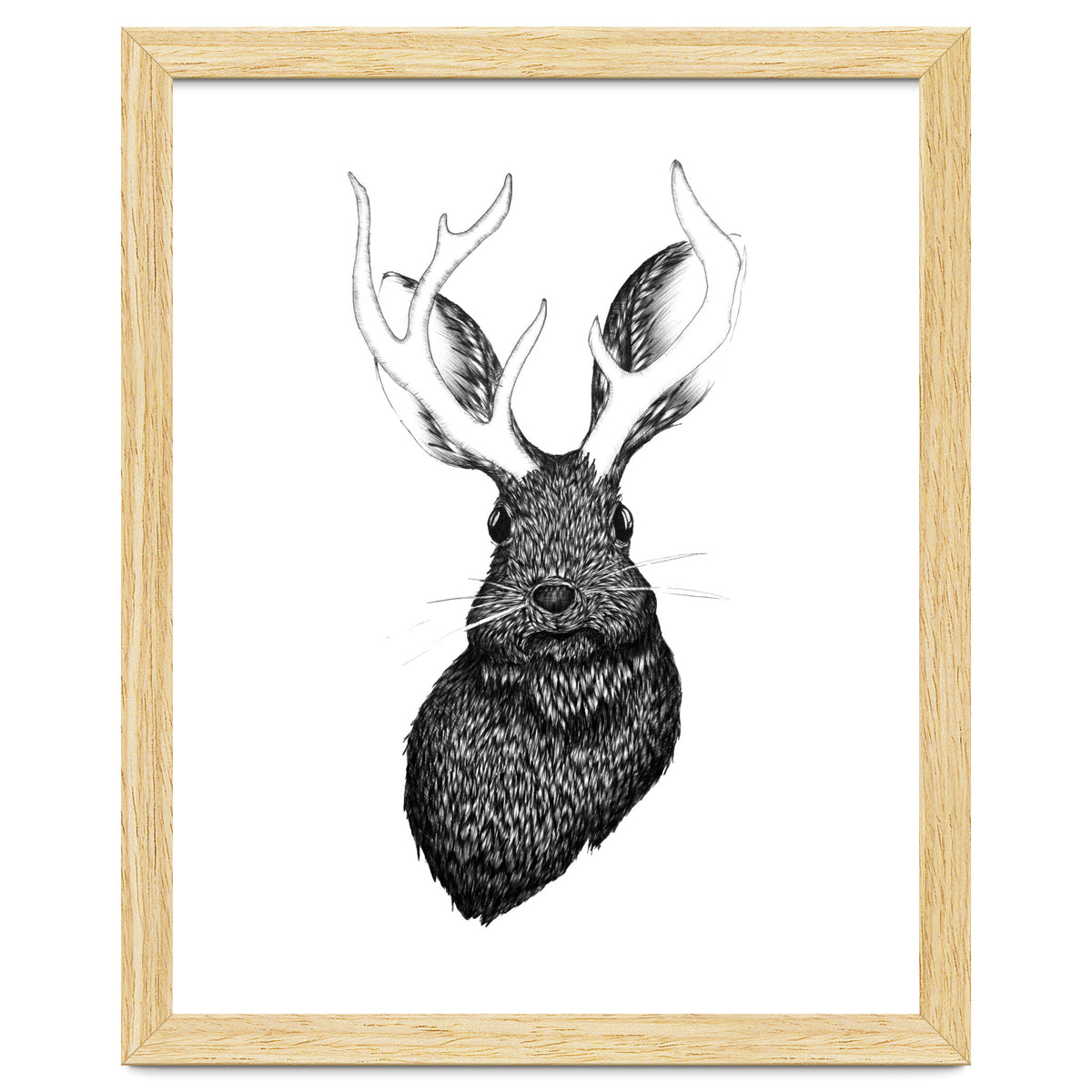 Jackalope