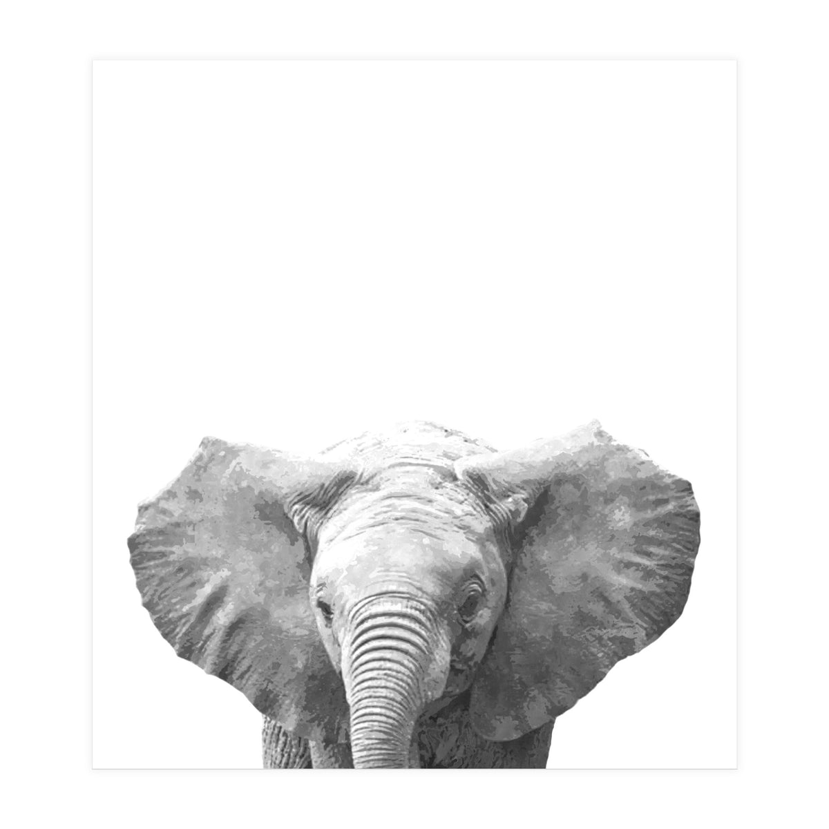 Black and White Baby Elephant  (Print Only)
