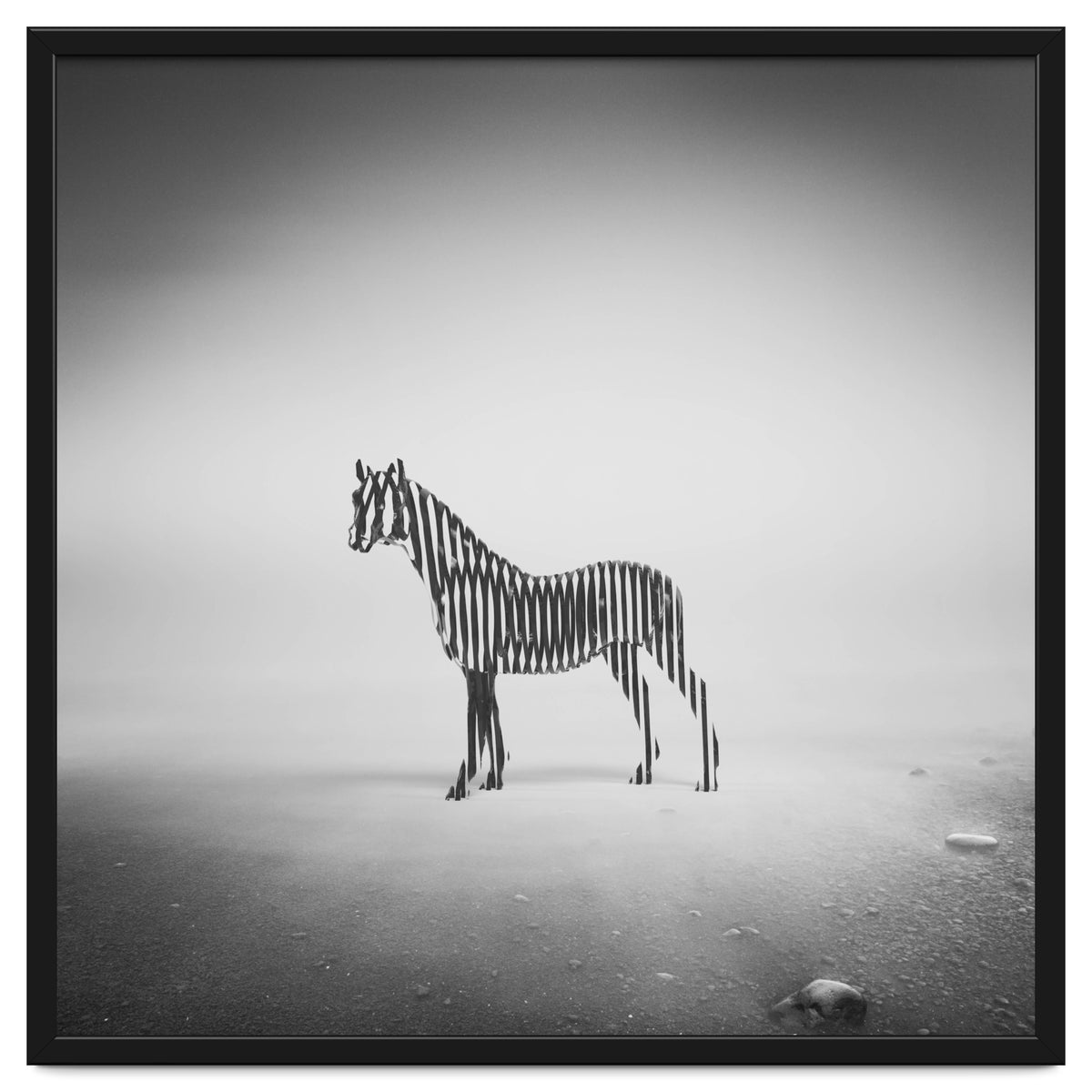 Zebra Mist