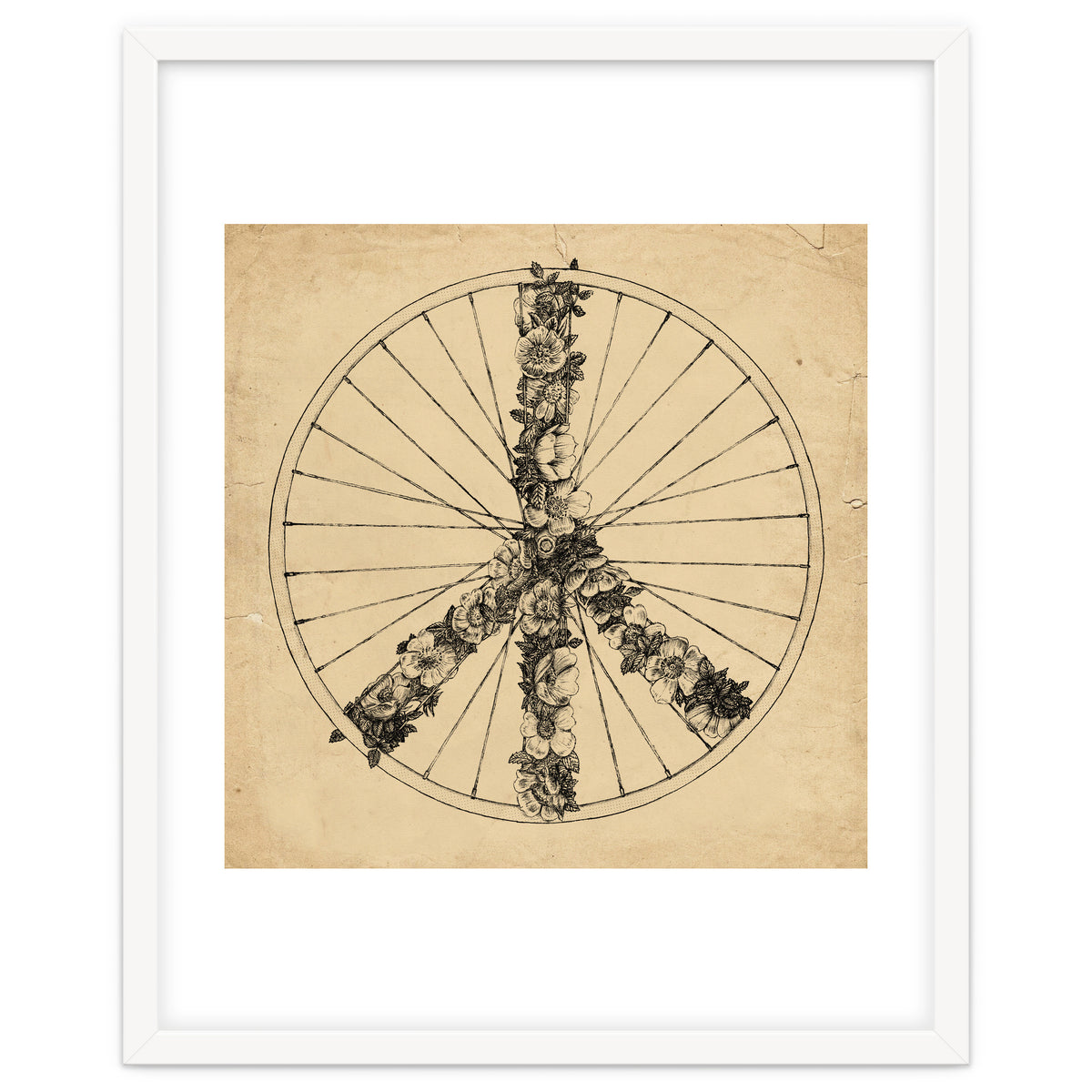 Peace And Bike Lines