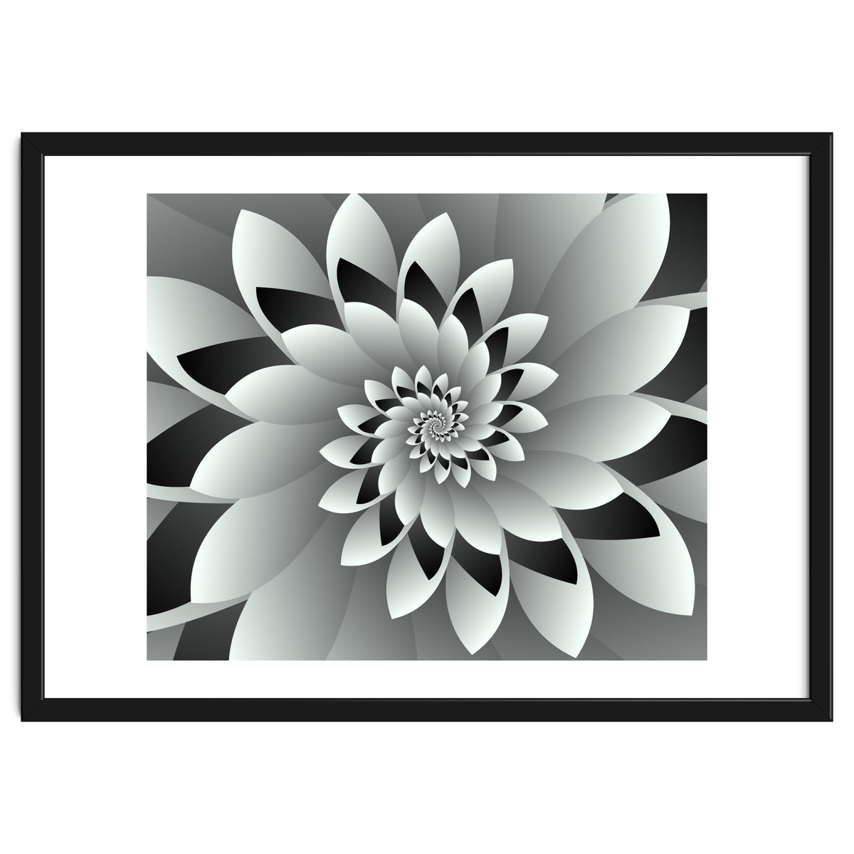 Black & White Floral