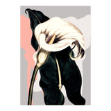 Calla lily flower (Print Only) thumbnail