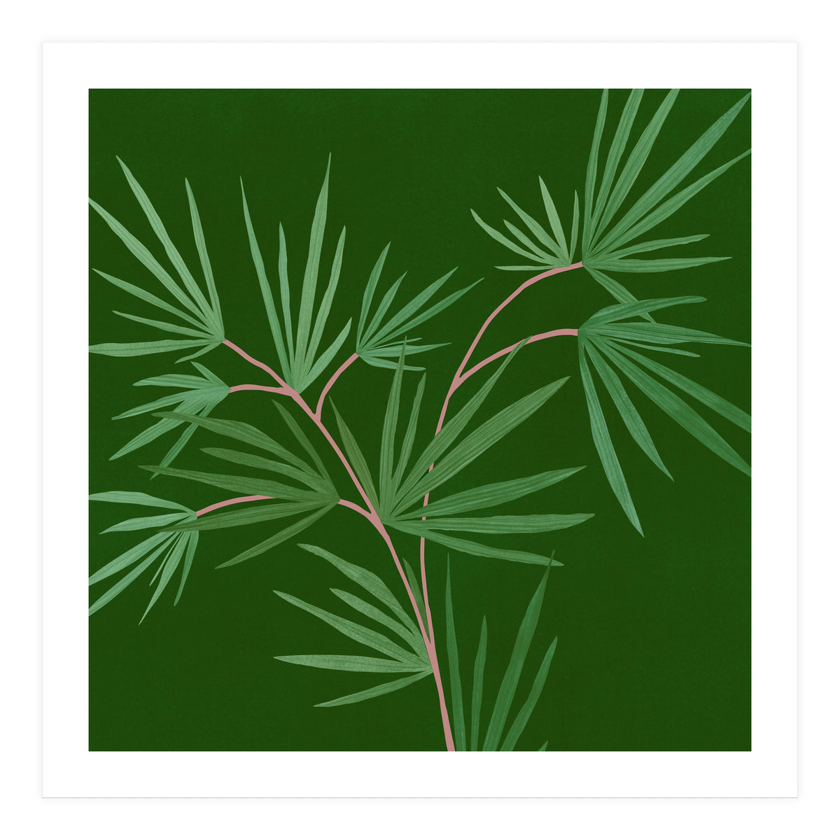 Abstract Palm (Print Only)